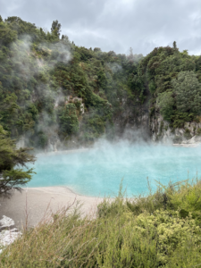 Geothermal Origins