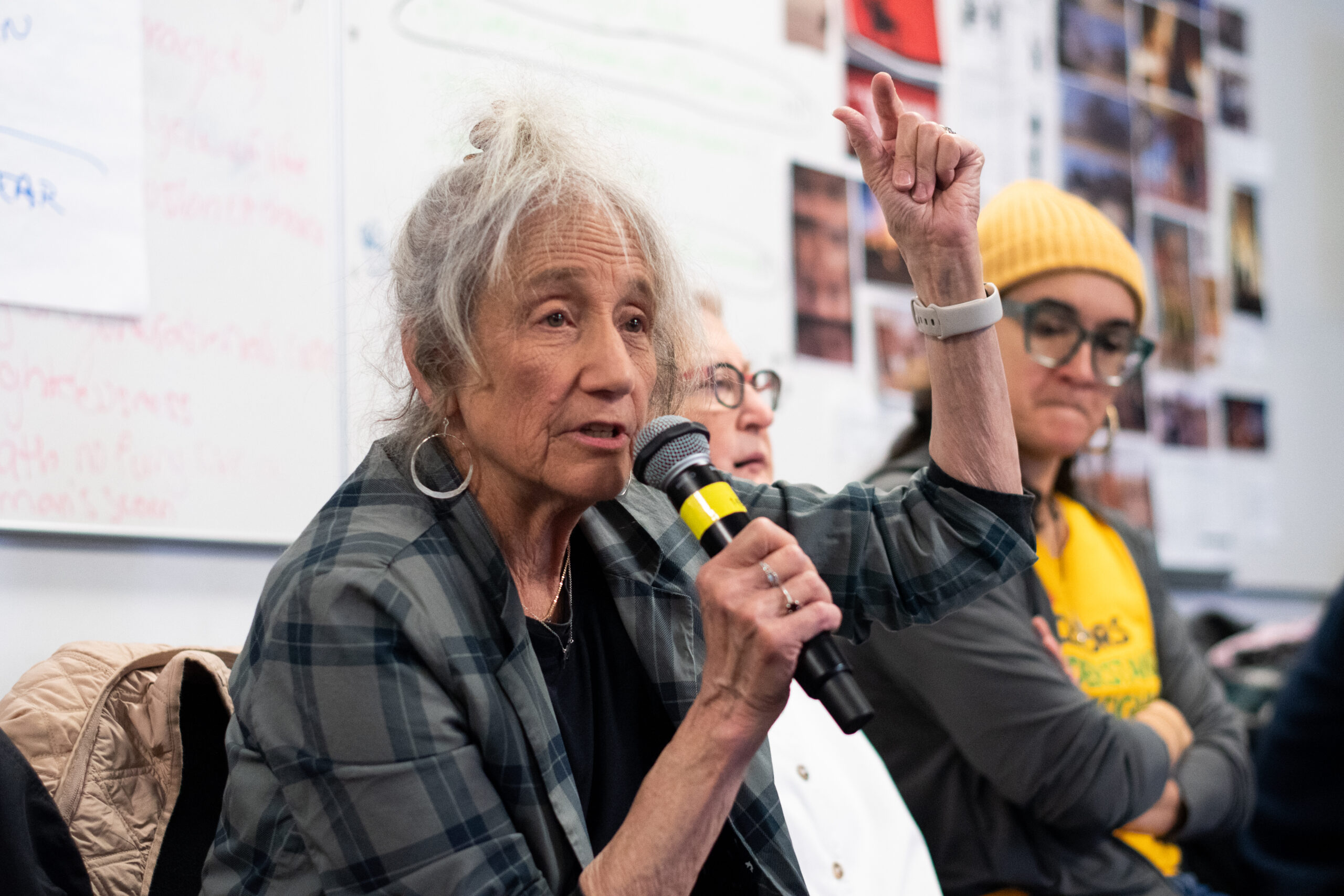 Liz Lerman choreographer